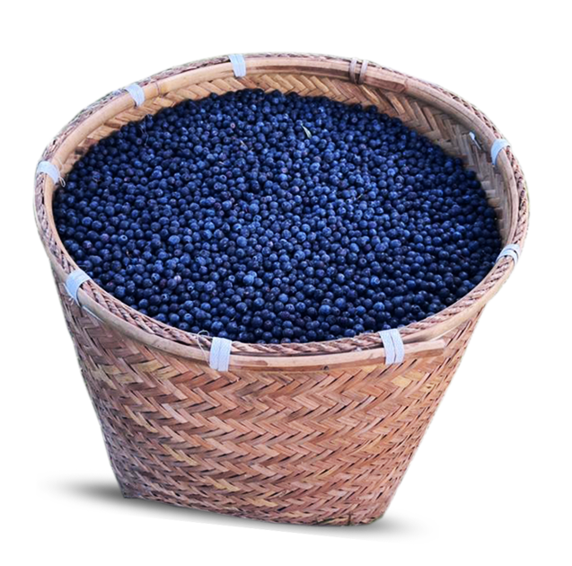 blueberry